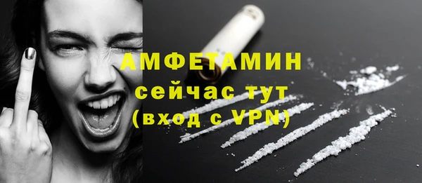 Альфа ПВП Бородино