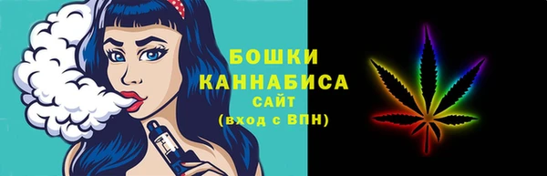 Альфа ПВП Бородино