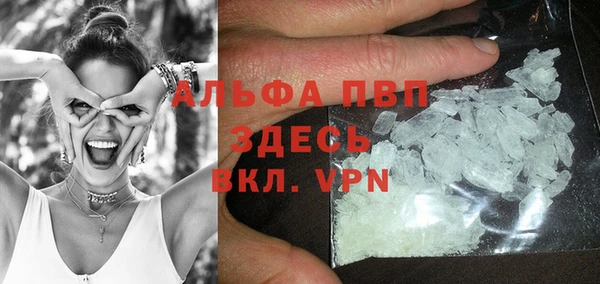 Альфа ПВП Бородино