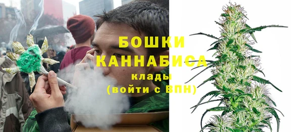 Альфа ПВП Бородино