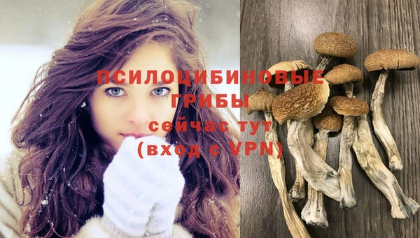 соль ск Бронницы