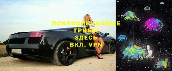 Альфа ПВП Бородино
